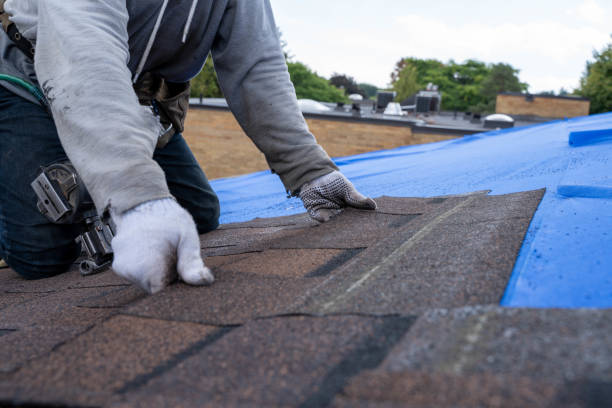 Best Affordable Roof Replacement  in Wathena, KS