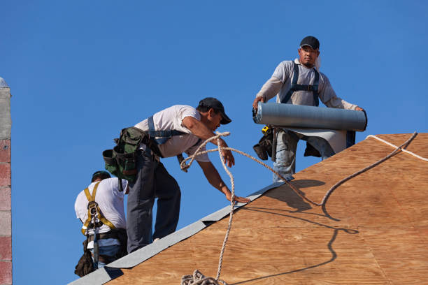 Best Roof Repair Services  in Wathena, KS