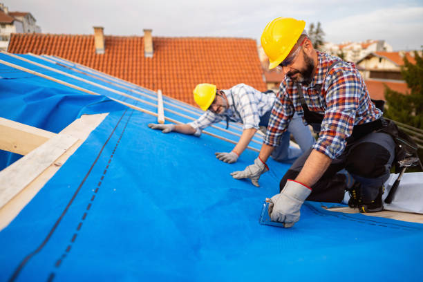 Best Roof Maintenance Services  in Wathena, KS
