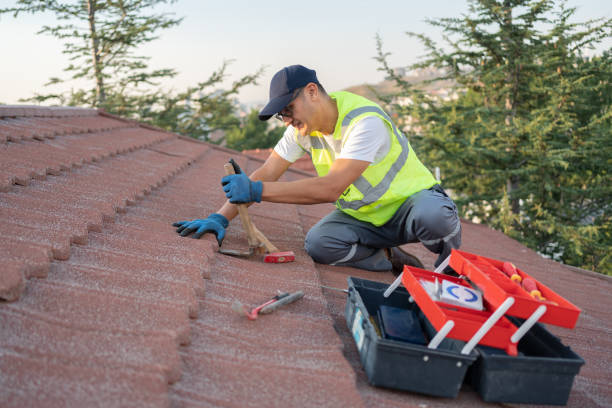 Best Roof Leak Repair  in Wathena, KS